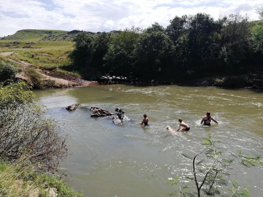 Sheeprun Farmstay Maclear Dış mekan fotoğraf
