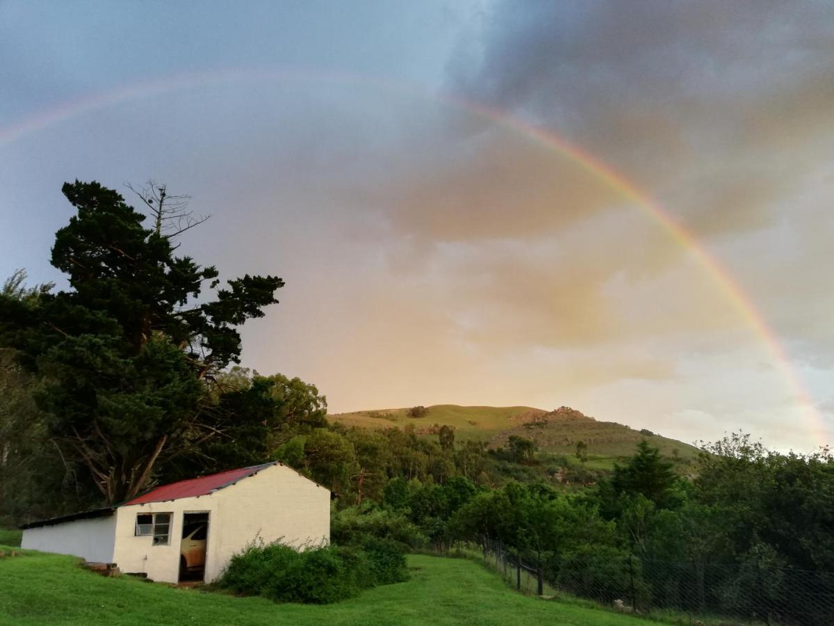 Sheeprun Farmstay Maclear Dış mekan fotoğraf
