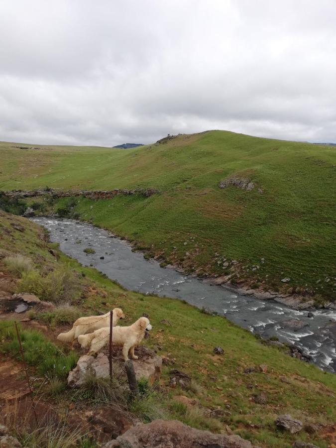 Sheeprun Farmstay Maclear Dış mekan fotoğraf