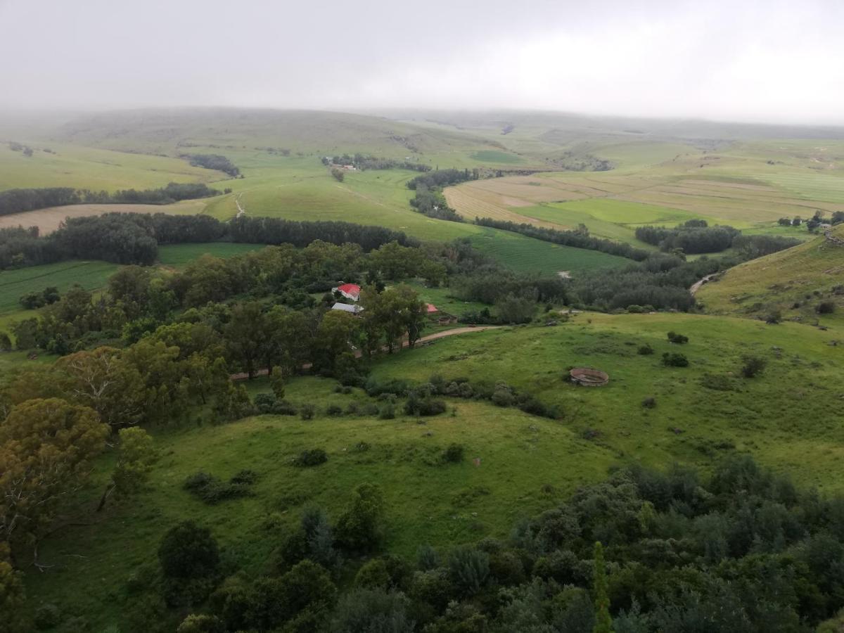 Sheeprun Farmstay Maclear Dış mekan fotoğraf