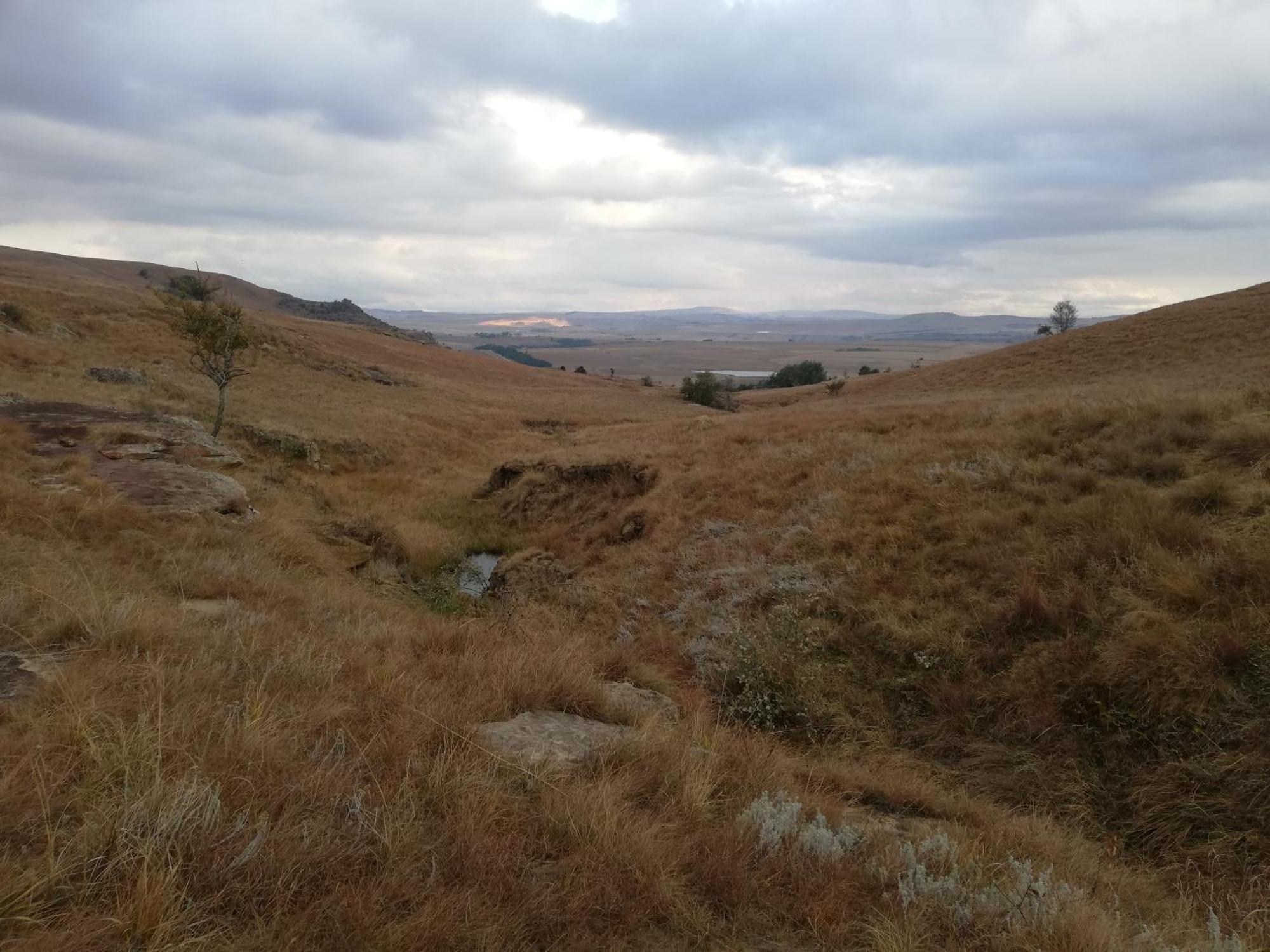 Sheeprun Farmstay Maclear Dış mekan fotoğraf